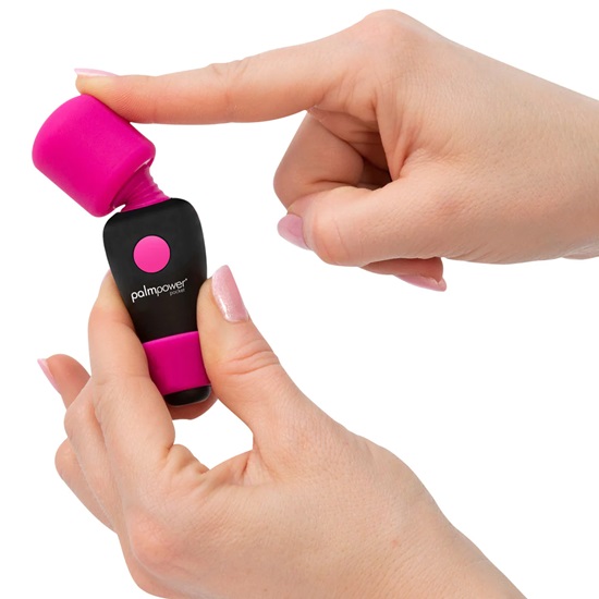 PalmPower Pocket